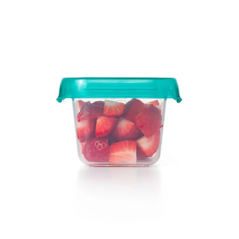 Baby Blocks Freezer Storage Containers - 6 oz
