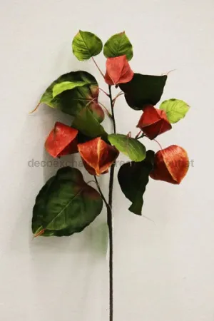 Chinese Lantern Spray, 38In FL11621OR