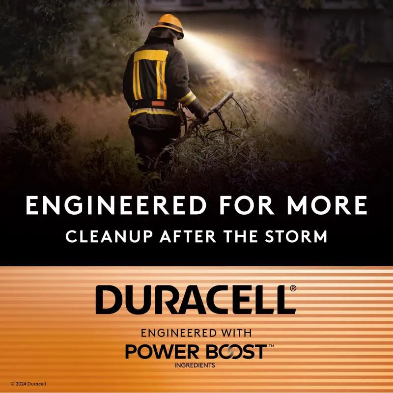 Duracell Coppertop AAA Alkaline Batteries 10 pk Carded