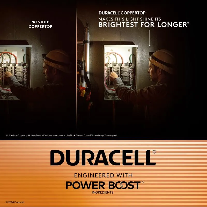 Duracell Coppertop AAA Alkaline Batteries 10 pk Carded