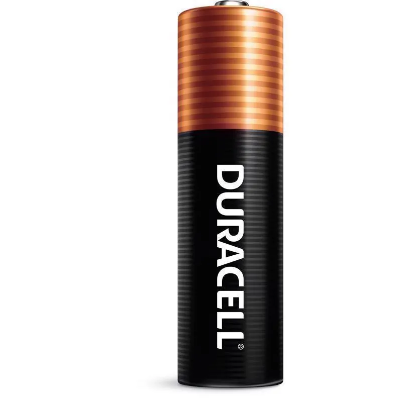 Duracell Coppertop AAA Alkaline Batteries 10 pk Carded