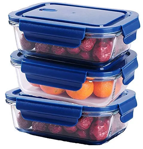 Golden Bird Glass Lunch Box Food Storage Containers with Lids, Glass Meal Prep Containers, Airtight Glass Lunch,BPA Free & Leak Proof 1